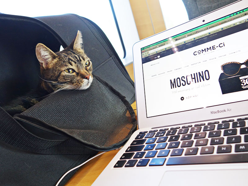 Photo-2014-04-14-09-29-35