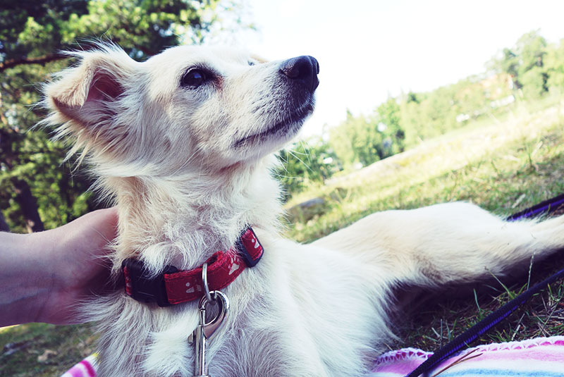 Foto-2014-07-05-13-30-50