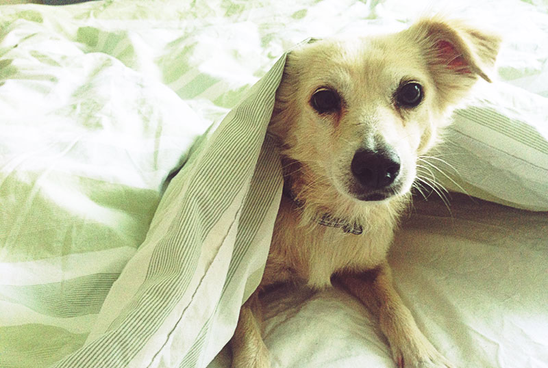 Foto-2014-07-21-07-42-29