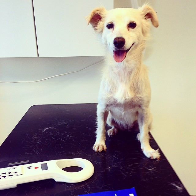 10424455_561765483929928_132303020_n