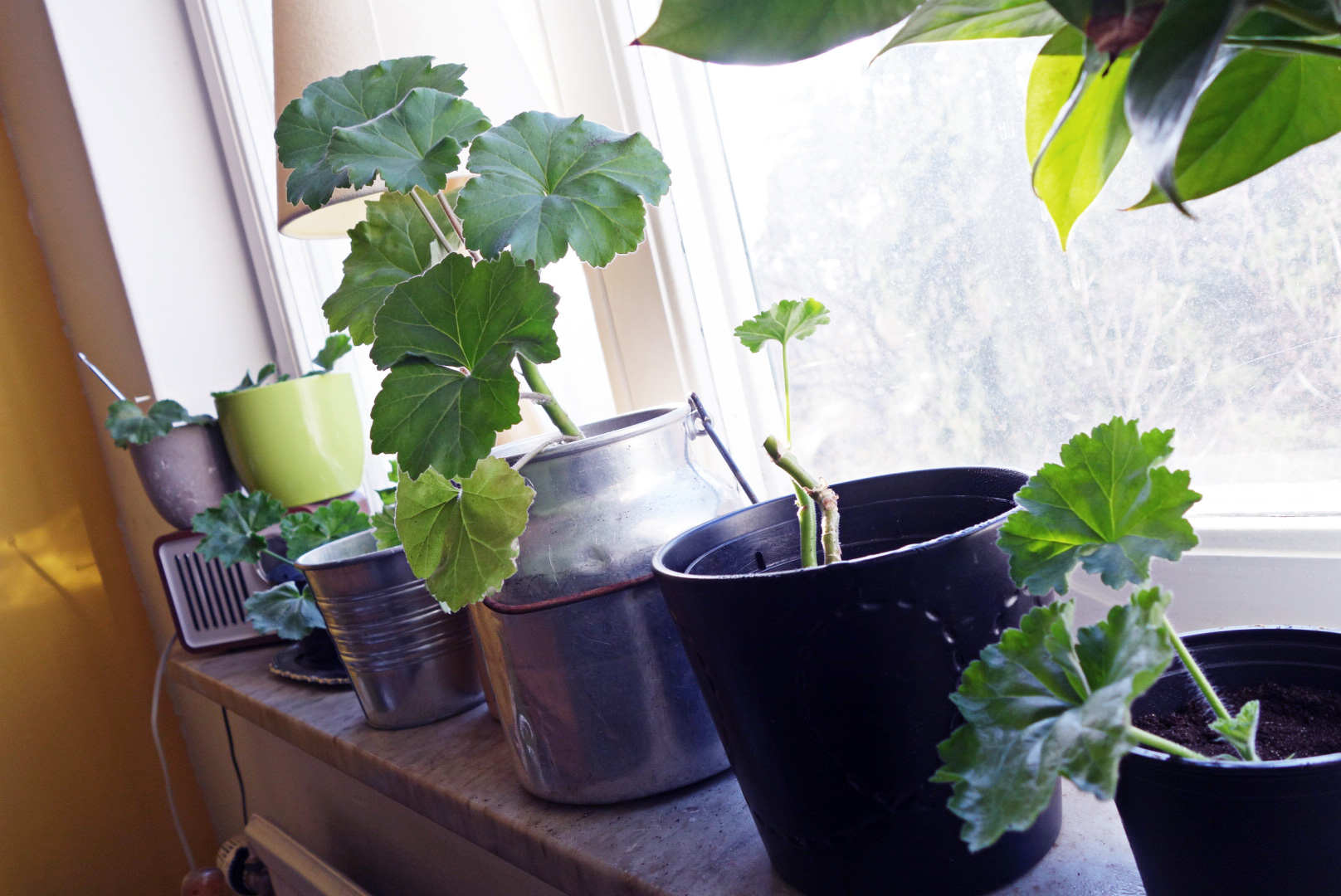 Foto-2015-04-12-16-31-21