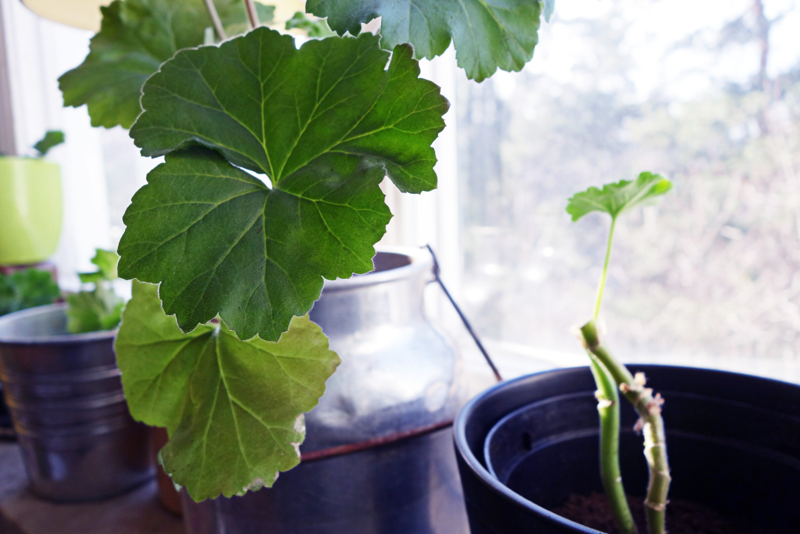 Foto-2015-04-12-16-31-52