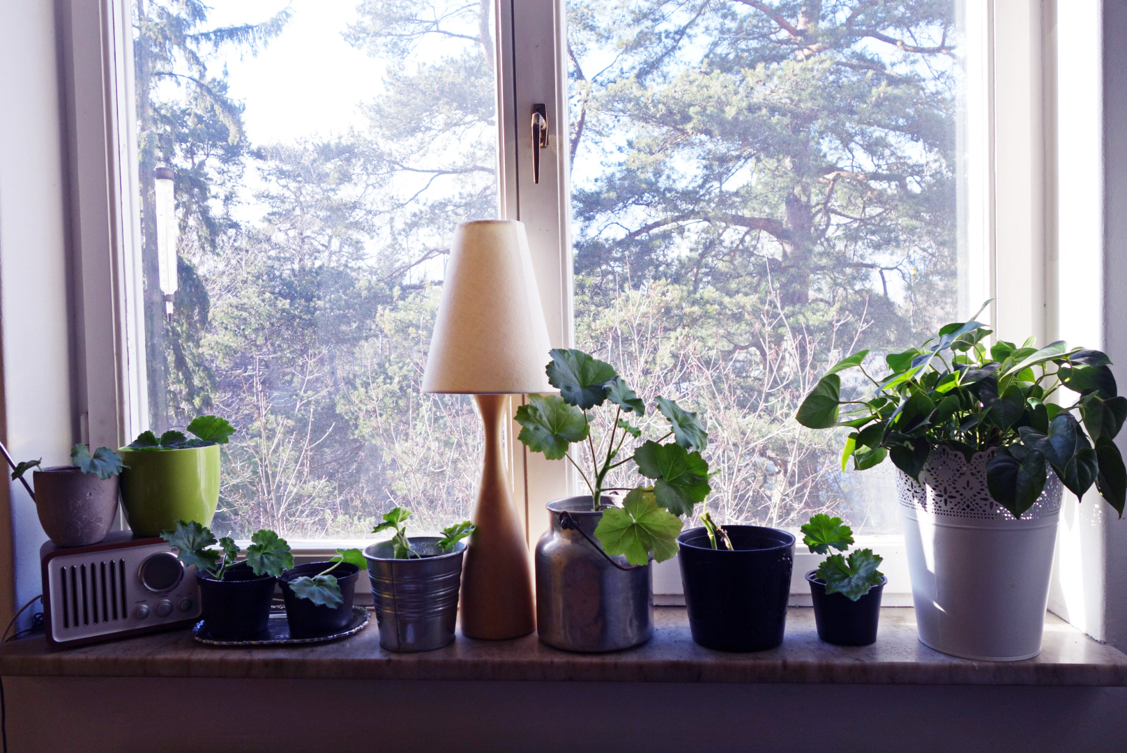 Foto-2015-04-12-16-32-11